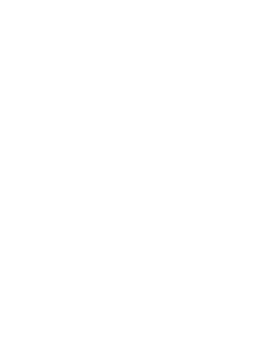 VIRAL TEAM badge